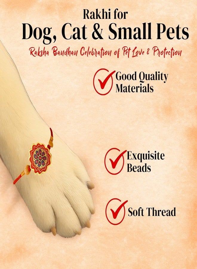 Sage Square Paw Bandhan Rakhi for Dog, Cat & Small Pets | Celebrate Bonds of Love This Raksha Bandhan | Cute Rakhi with Beads, Decorative Threads | Gift for Pet Lovers & Furry Companions (Type 31) - Image 4